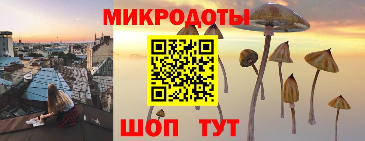 Псилоцибиновые грибы GOLDEN TEACHER Медногорск
